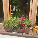 Walnusshof Schmogrow