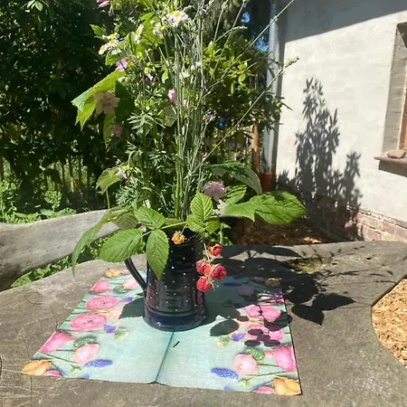 아파트 Walnusshof Schmogrow