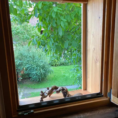 Walnußhof Apartment Schmogrow