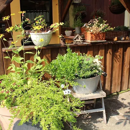 Apartment Walnußhof Schmogrow