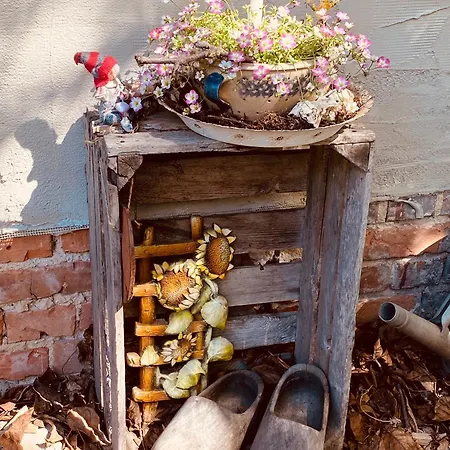 Walnusshof شقة Schmogrow