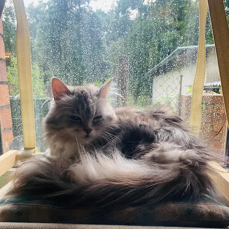 아파트 Walnusshof Schmogrow