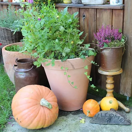 아파트 Walnusshof Schmogrow