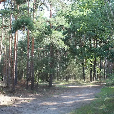 Walnußhof Schmogrow