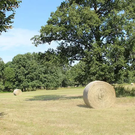 Appartamento Walnusshof