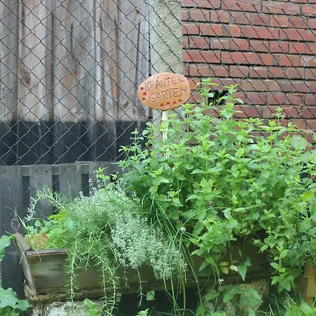 Apartment Walnußhof Schmogrow