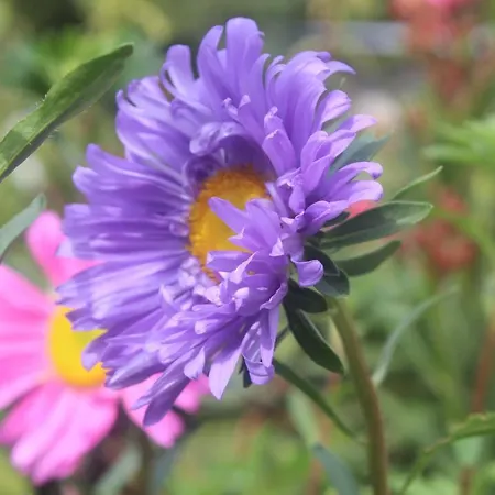 Walnußhof * Schmogrow