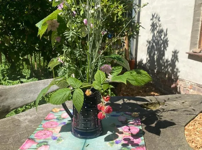 Apartment Walnußhof Schmogrow