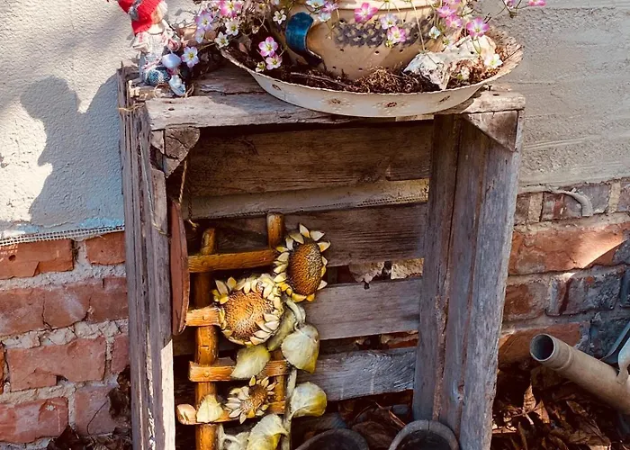 Walnußhof Apartment Schmogrow