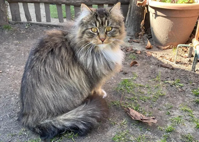 Διαμέρισμα Walnusshof