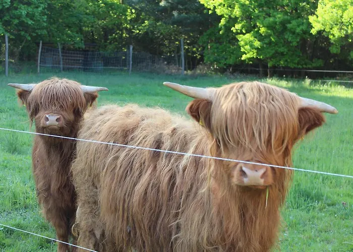 Apartment Walnußhof