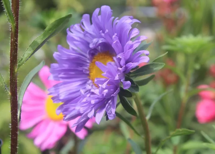 Walnusshof * Schmogrow